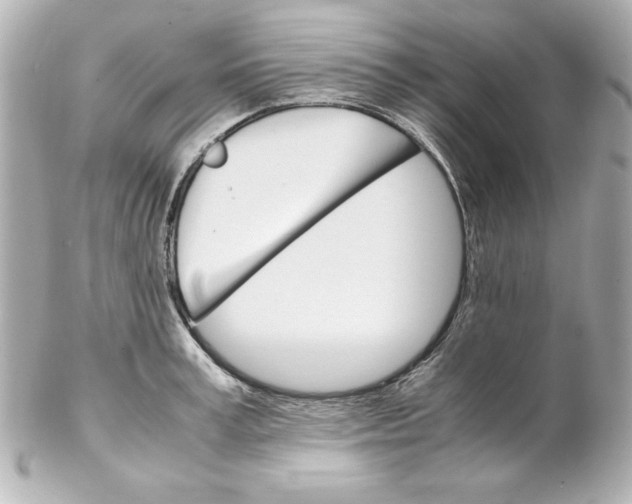 X0000102260995200808151836