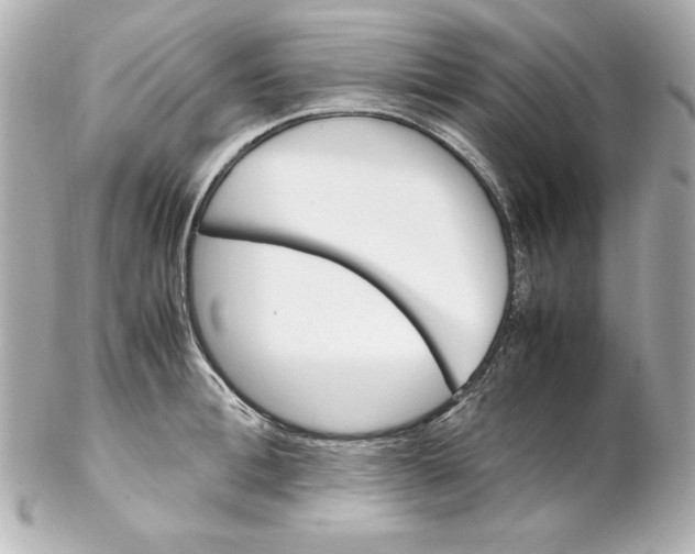 X0000102260996200808151836