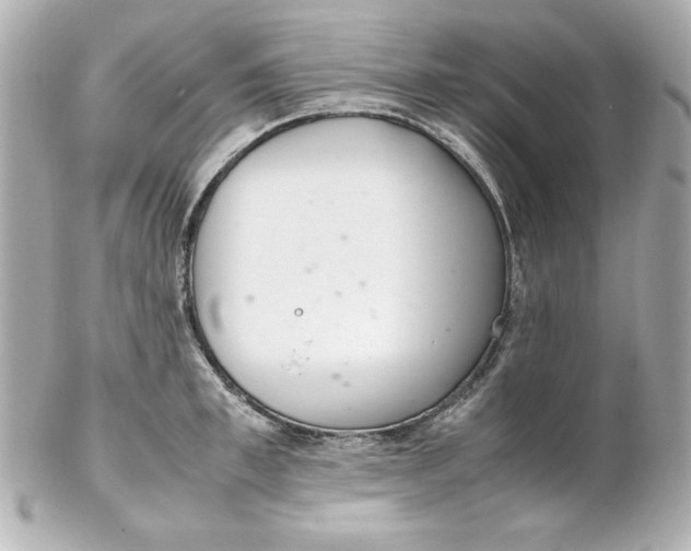 X0000102260997200808151836