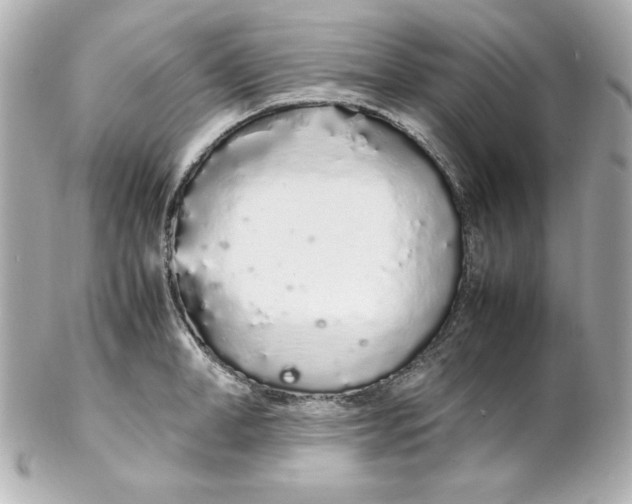 X0000102260998200808151836