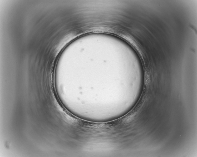 X0000102260999200808151836