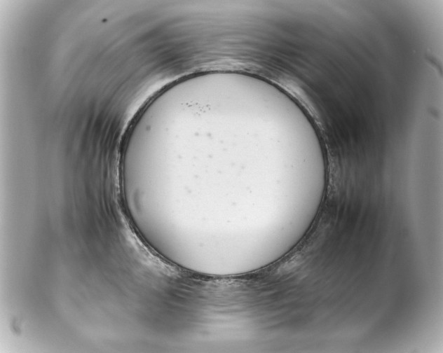 X0000102261000200808151836