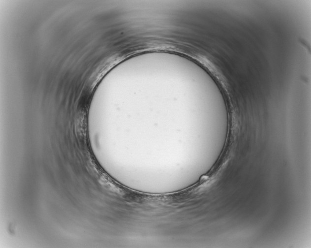 X0000102261001200808151836