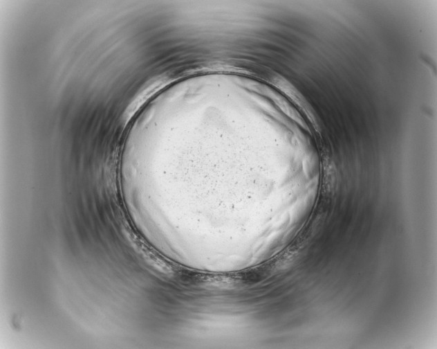 X0000102261002200808151836