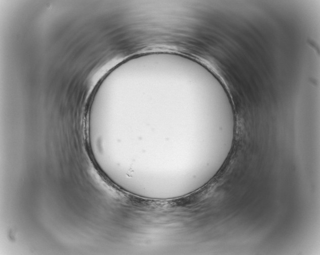 X0000102261003200808151836