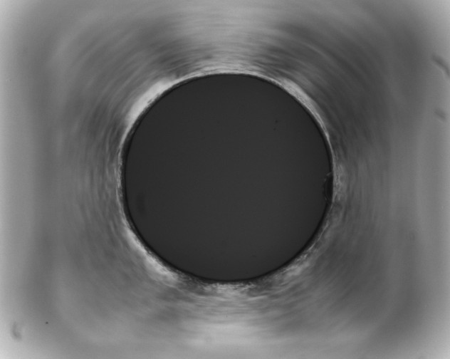 X0000102261005200808151836