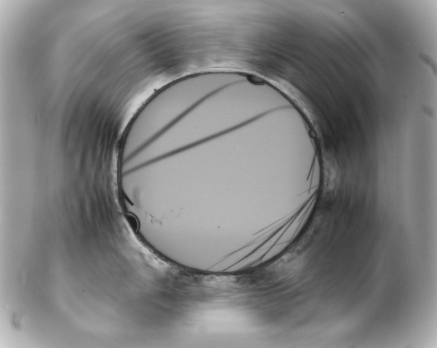 X0000102261006200808151836