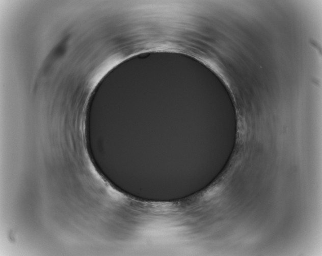 X0000102261007200808151836