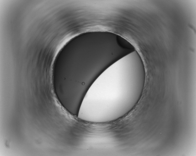 X0000102261008200808151836