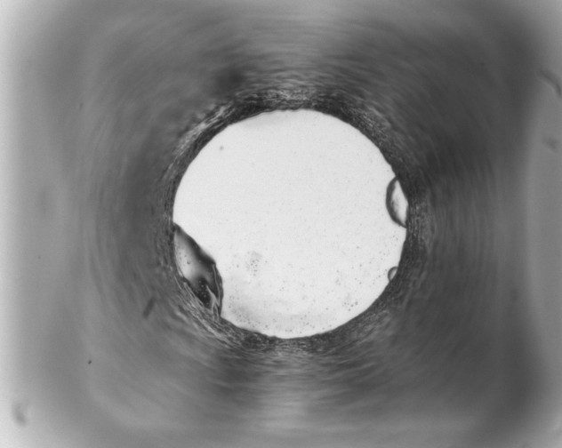 X0000102261009200808151835