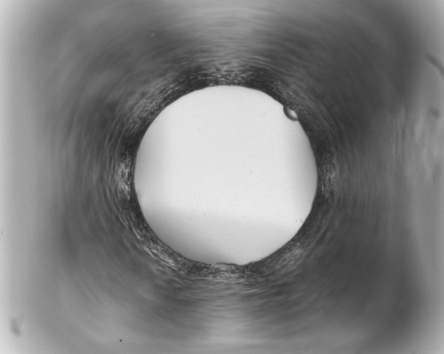 X0000102261010200808151835