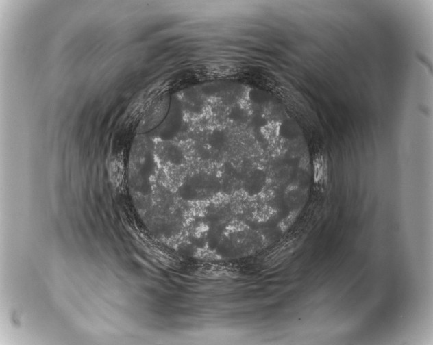 X0000102261011200808151835