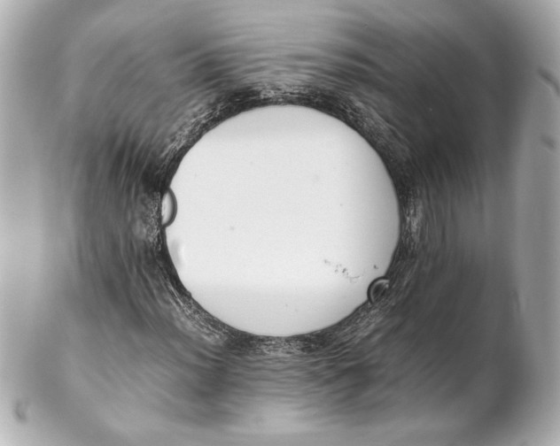 X0000102261012200808151835