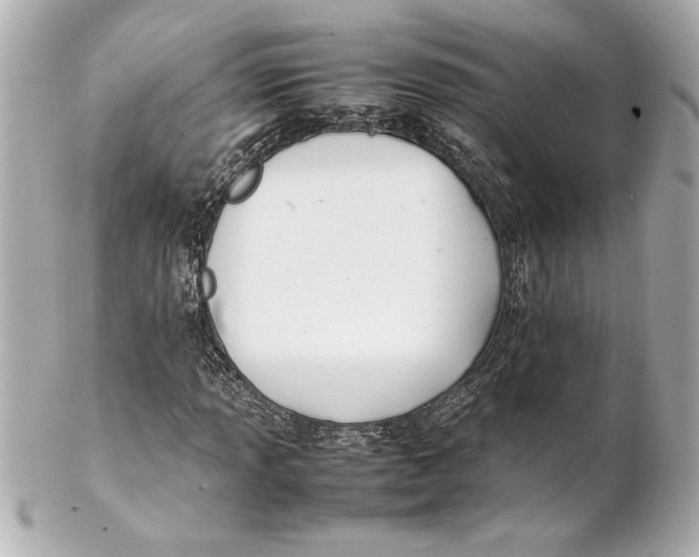 X0000102261013200808151835