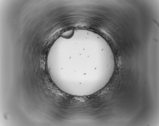 X0000102261015200808151835