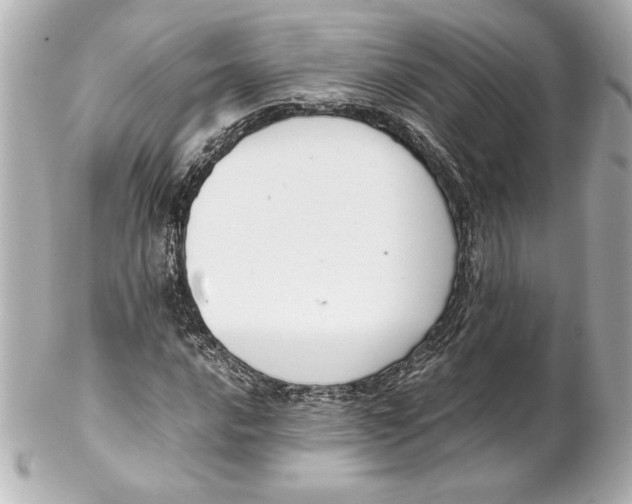 X0000102261016200808151835