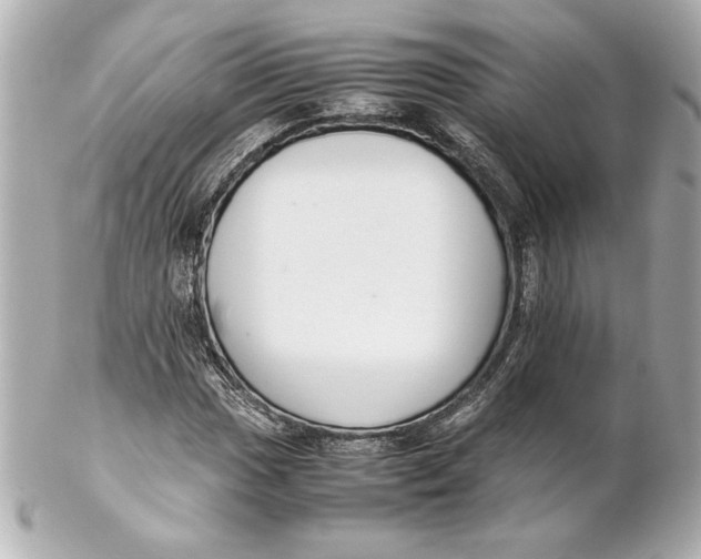 X0000102261017200808151835