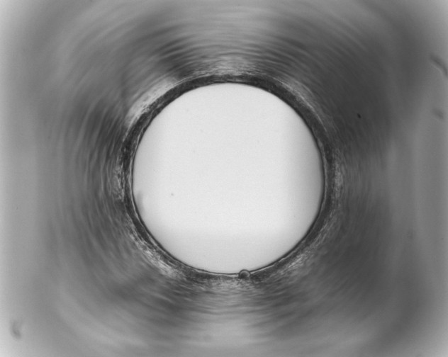 X0000102261018200808151835