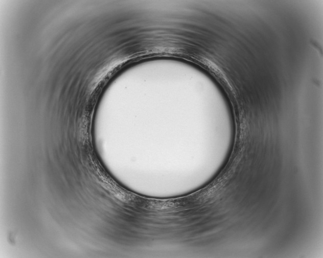 X0000102261019200808151835