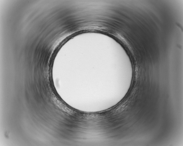 X0000102261020200808151835