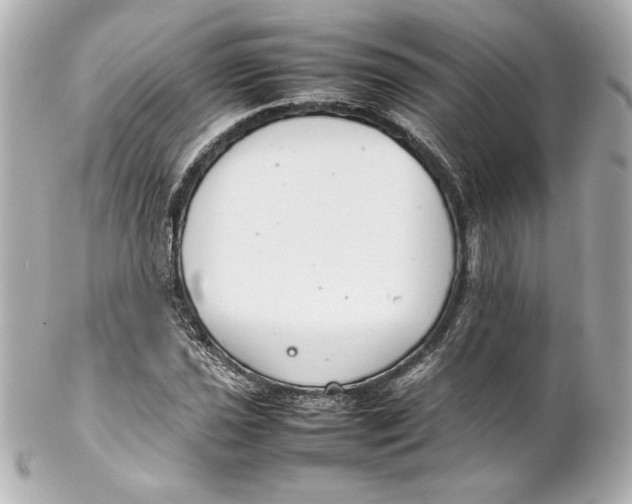 X0000102261021200808151835