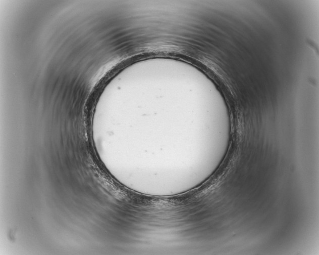 X0000102261022200808151835