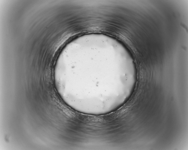 X0000102261023200808151835