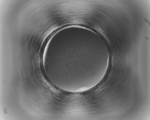 X0000102261024200808151835