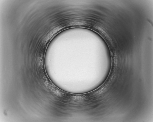 X0000102261025200808151835