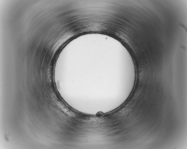 X0000102261026200808151835