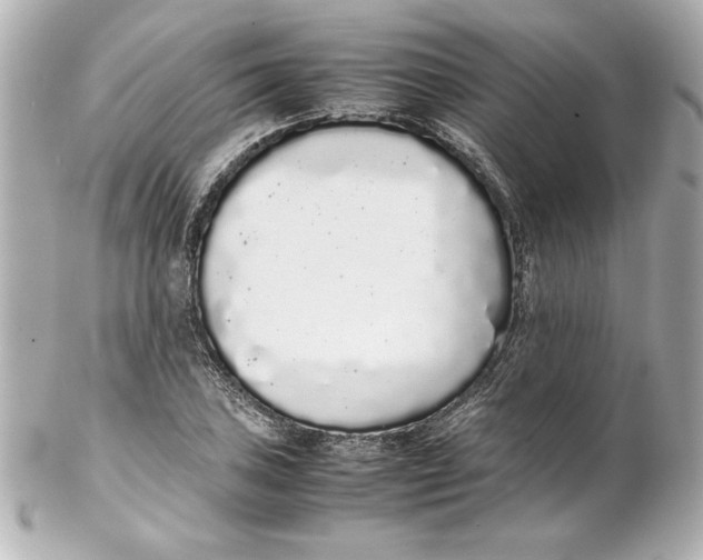 X0000102261027200808151835