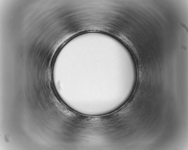 X0000102261028200808151835