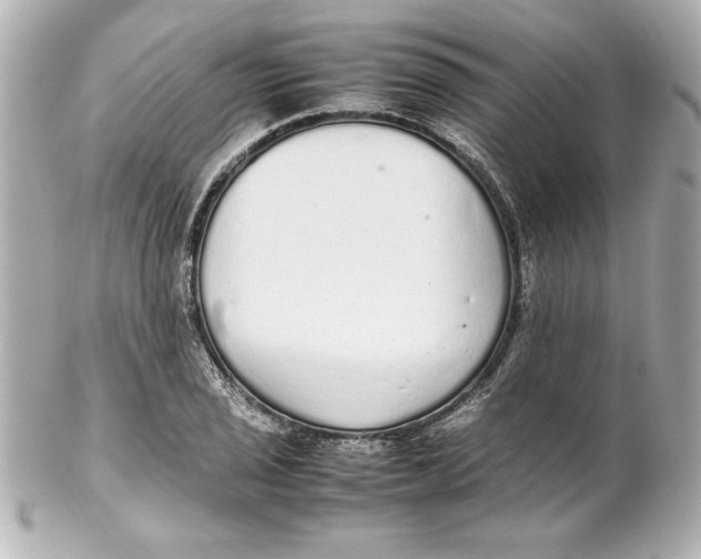 X0000102261029200808151835