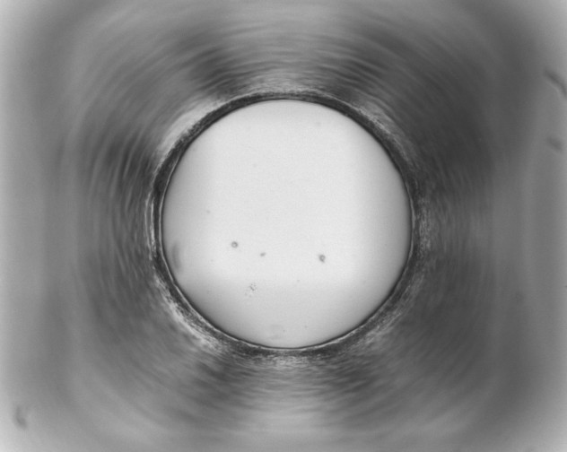 X0000102261030200808151835