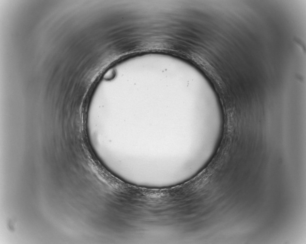 X0000102261031200808151835