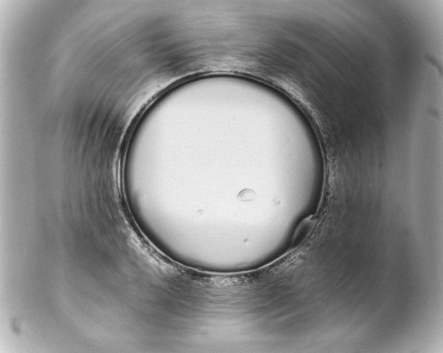 X0000102261032200808151835