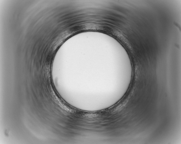 X0000102261033200808151835