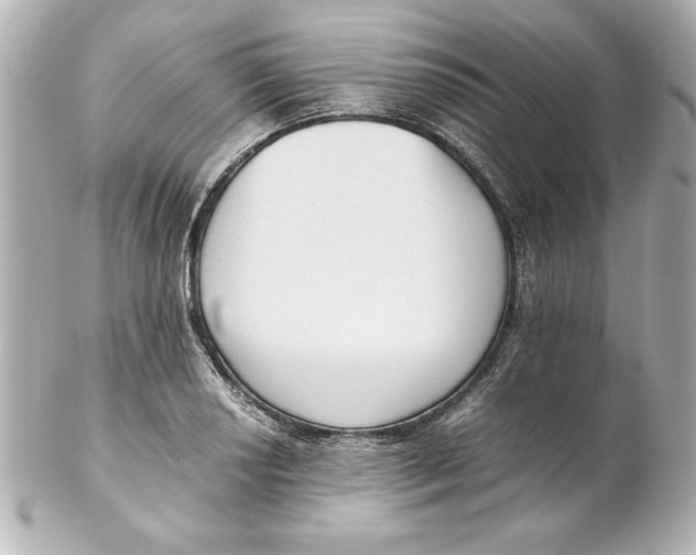 X0000102261034200808151835