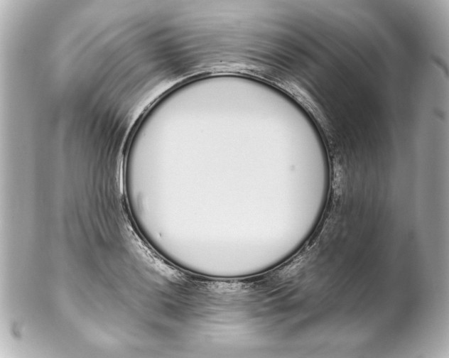 X0000102261036200808151835