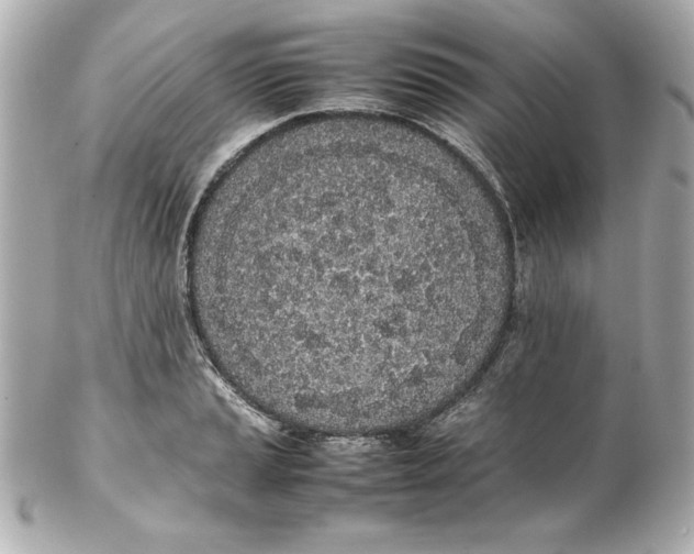 X0000102261037200808151835