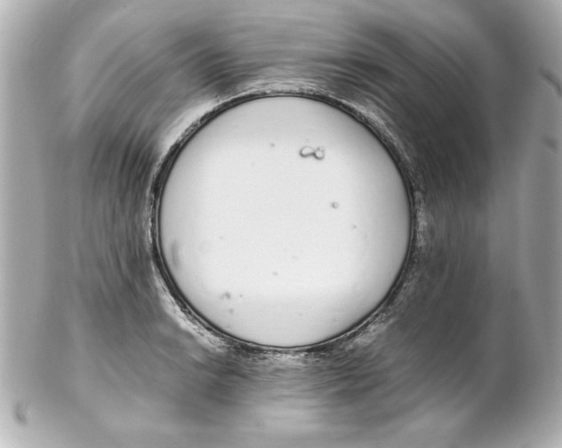 X0000102261038200808151835