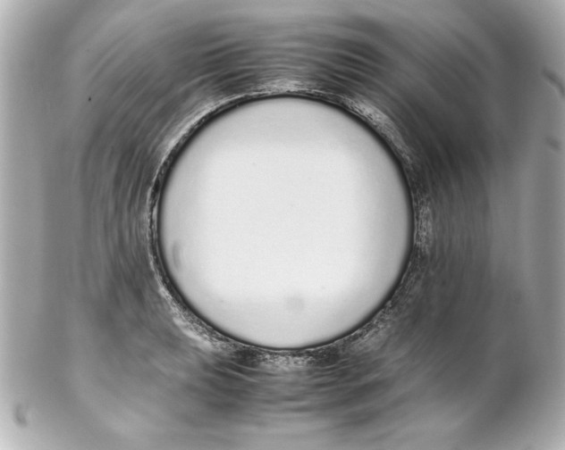 X0000102261039200808151835