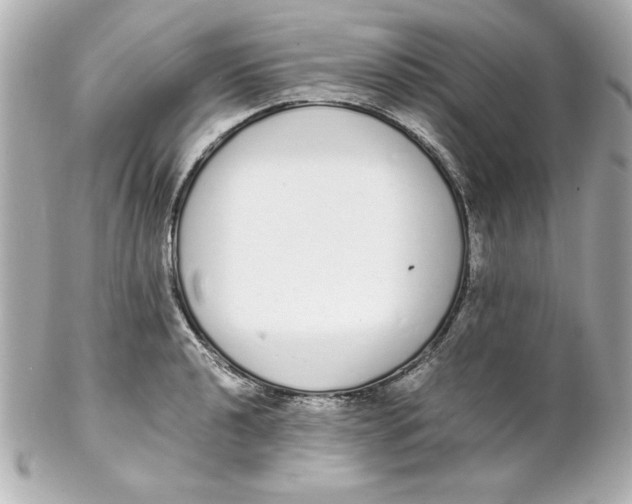 X0000102261040200808151835