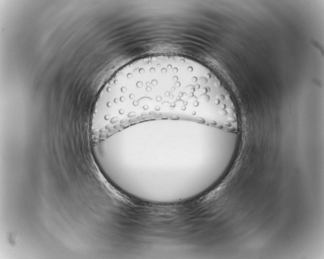 X0000102261041200808151835