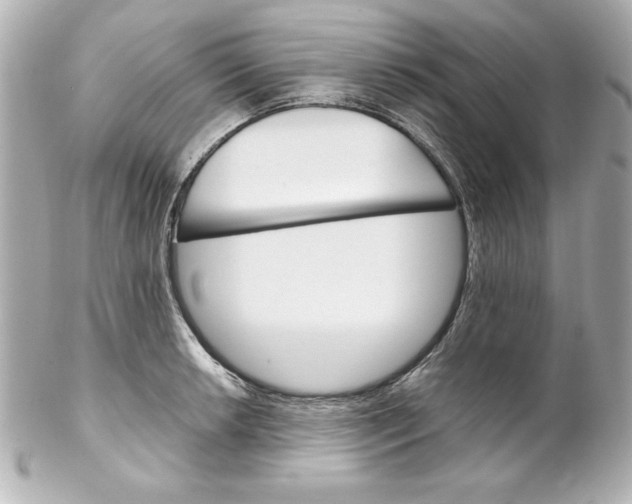 X0000102261042200808151836