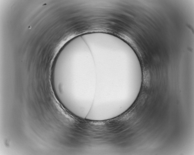 X0000102261043200808151836