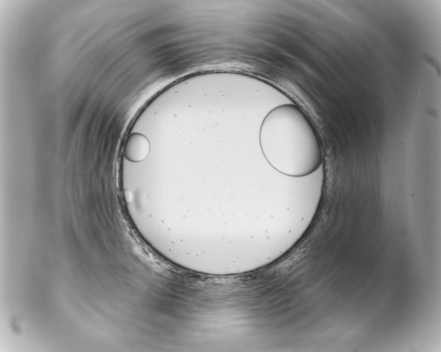 X0000102261044200808151836