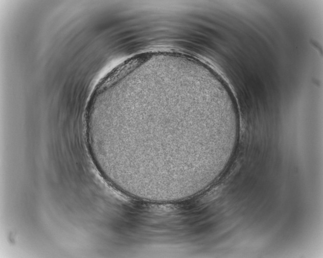 X0000102261045200808151836