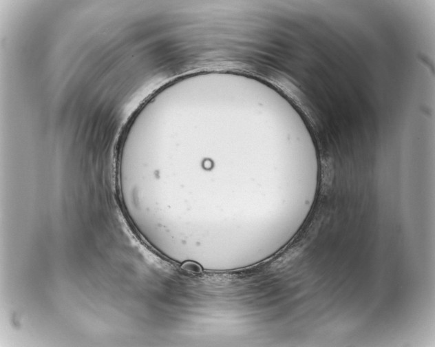 X0000102261046200808151836