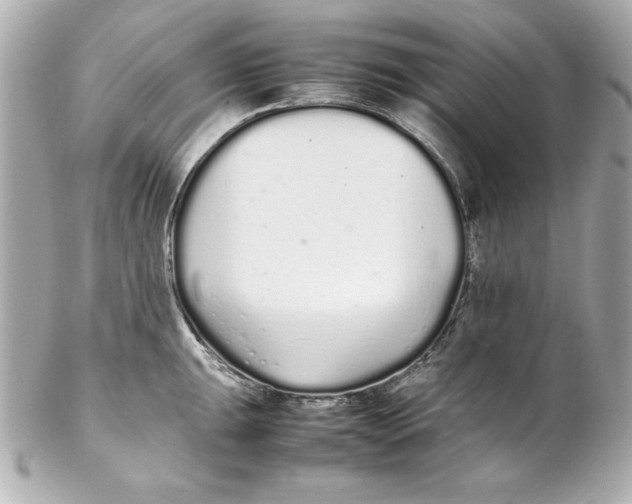 X0000102261047200808151836